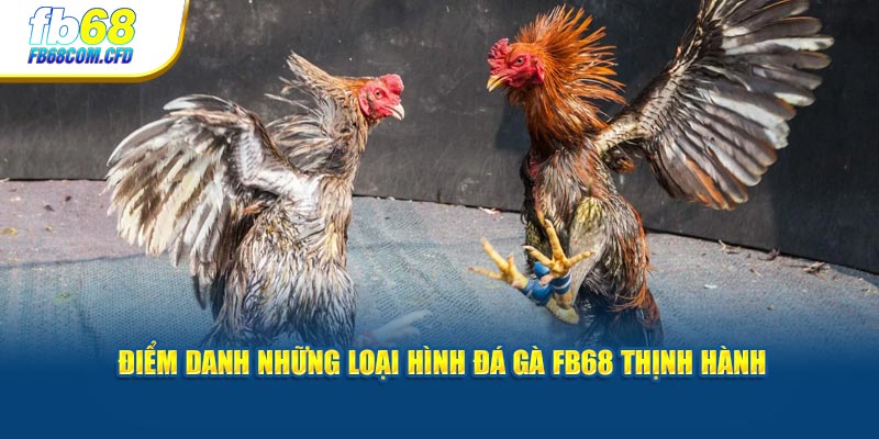 Điểm danh những loại hình đá gà FB68 thịnh hành